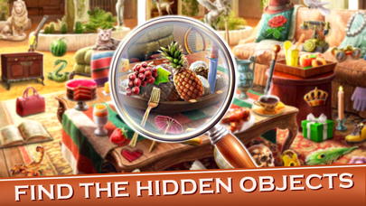 Big Home Hidden Objects screenshot 2