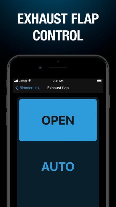 BimmerLink screenshot 1