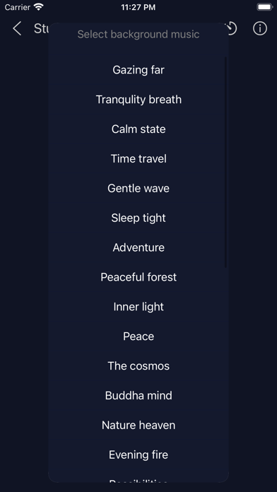 Binaural Beats - study music screenshot 1