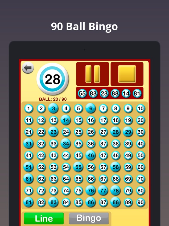 Bingo at Home screenshot 3