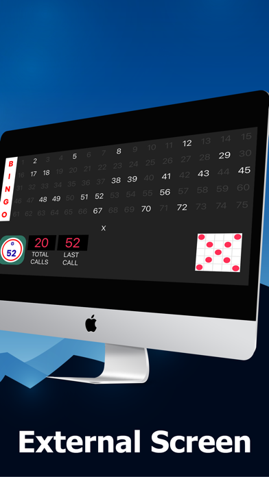Bingo Caller at Home screenshot 4