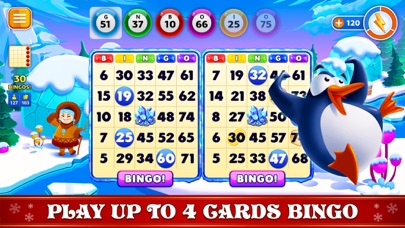 Bingo Christmas Holidays 2024 screenshot 4