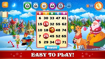Bingo Christmas Holidays 2024 screenshot 3