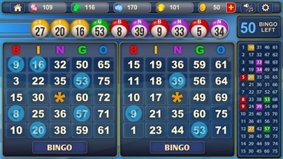 Bingo!! screenshot 1