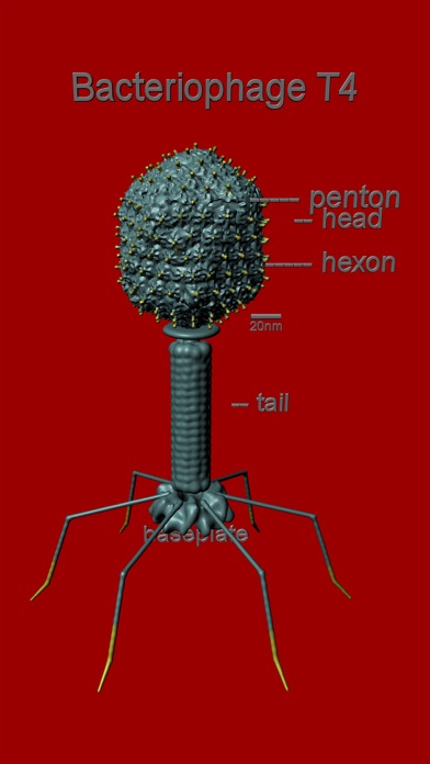 Bio Virus Structure in 3D screenshot 1