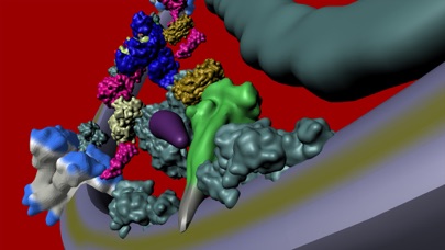 Bio Virus Structure in 3D screenshot 2