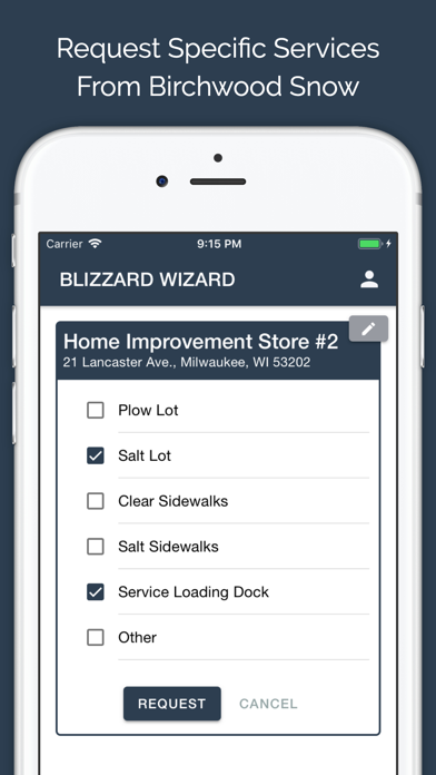 Birchwood Blizzard Wizard screenshot 1