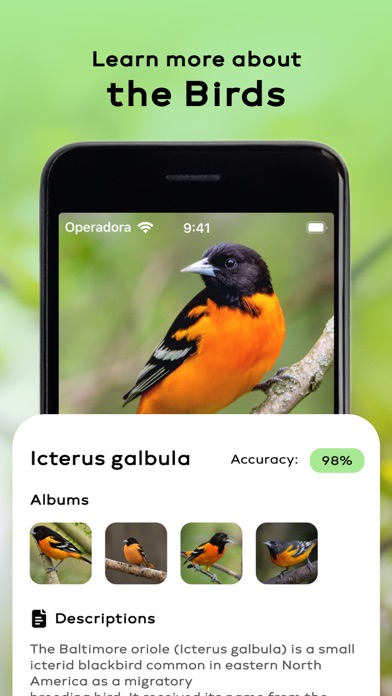 Bird Sounds Identifier Call ID screenshot 2