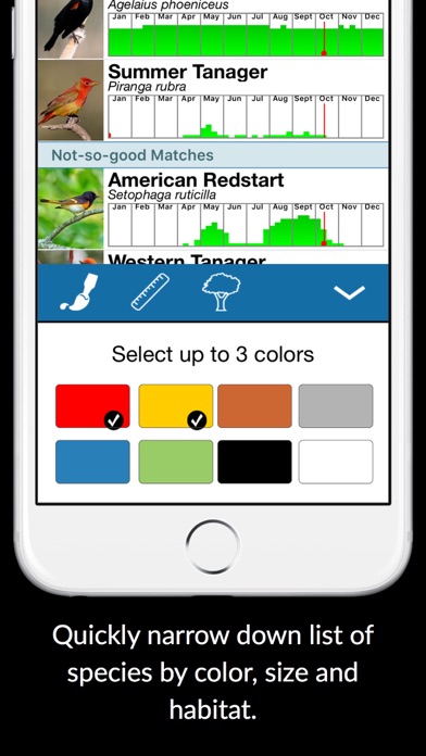 BirdsEye Bird Finding Guide screenshot 3