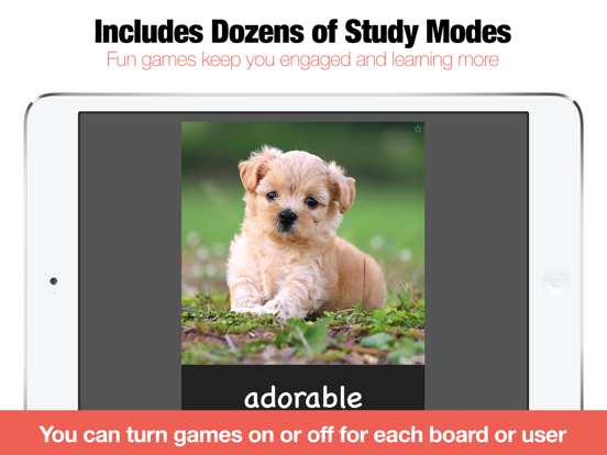 Bitsboard Flashcards & Games screenshot 8