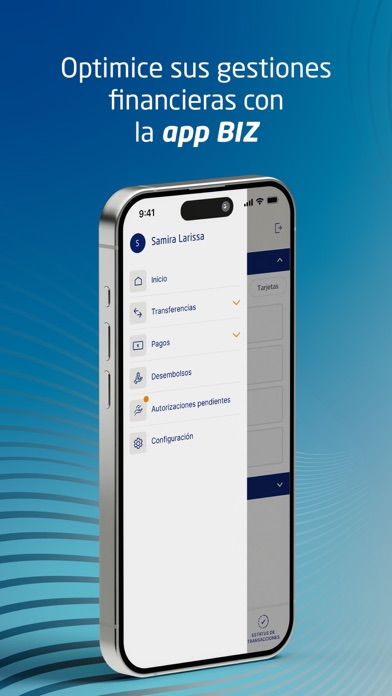 BIZ screenshot 5