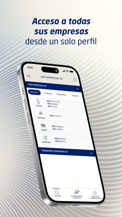 BIZ screenshot 3