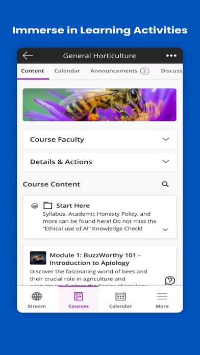 Blackboard screenshot 4
