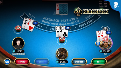 Blackjack 21: Live Casino game screenshot 8