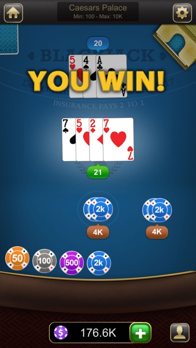 Blackjack Classic - Card Game screenshot 4