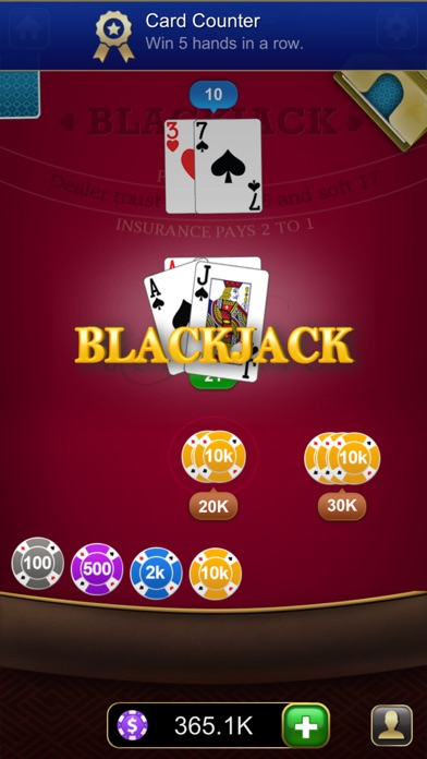 Blackjack Classic - Card Game screenshot 3