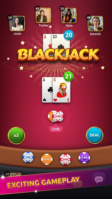Blackjack Winner screenshot 3