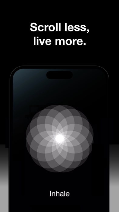 Blank Spaces Launcher screenshot 4