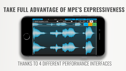 BLEASS SampleWiz 2 screenshot 2