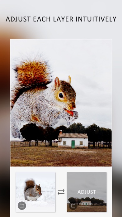 Blend Editor - Double Exposure screenshot 2