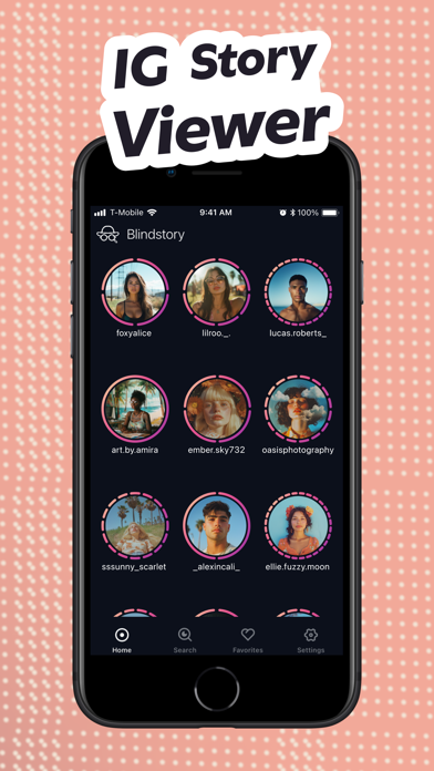 Blindstory｜Story Viewer for IG screenshot 3