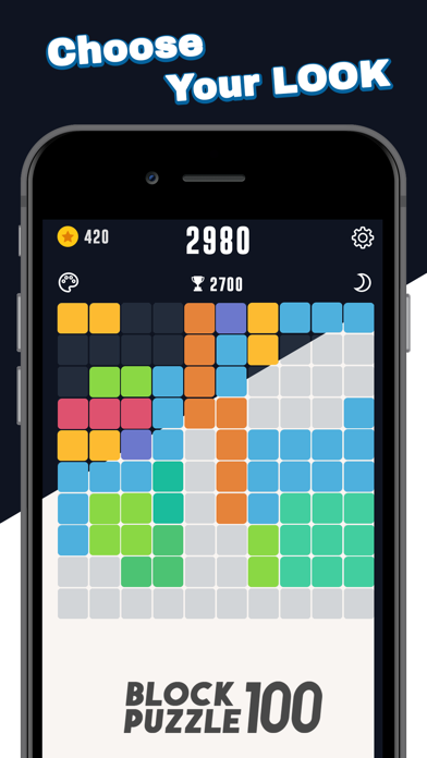 Block Puzzle 100 screenshot 4