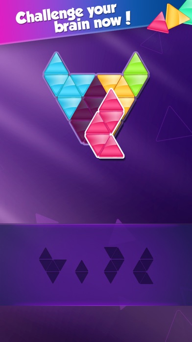Block! Triangle puzzle:Tangram screenshot 4