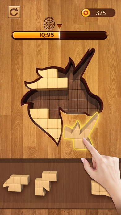 BlockPuz - Block Puzzles Games screenshot 5