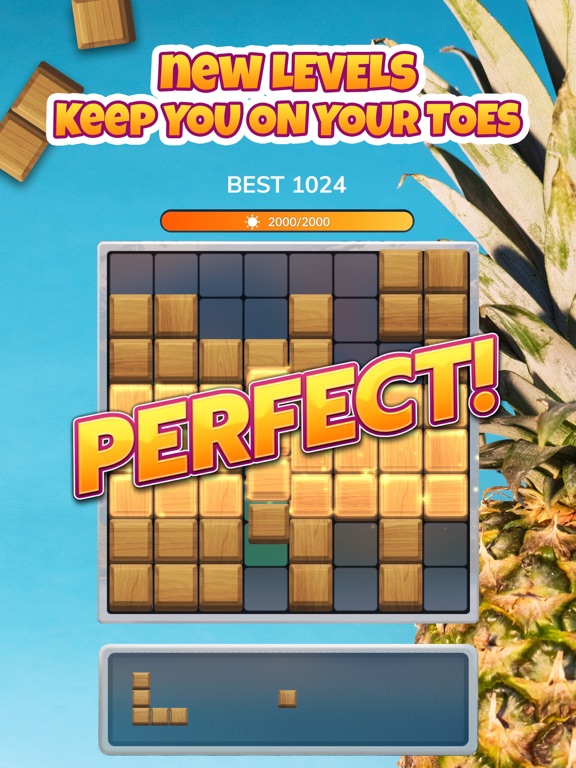 Blockscapes - Block Puzzle screenshot 1
