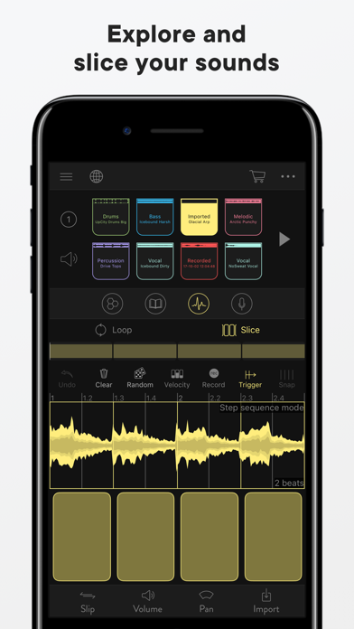 Blocs Wave: Record Music Live screenshot 4