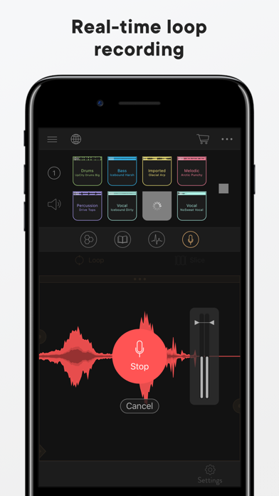 Blocs Wave: Record Music Live screenshot 2