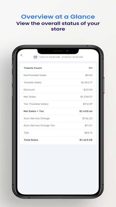 BLogic Quick Report screenshot 4