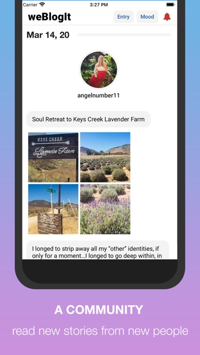 BlogIt - diary, journal, blog screenshot 2