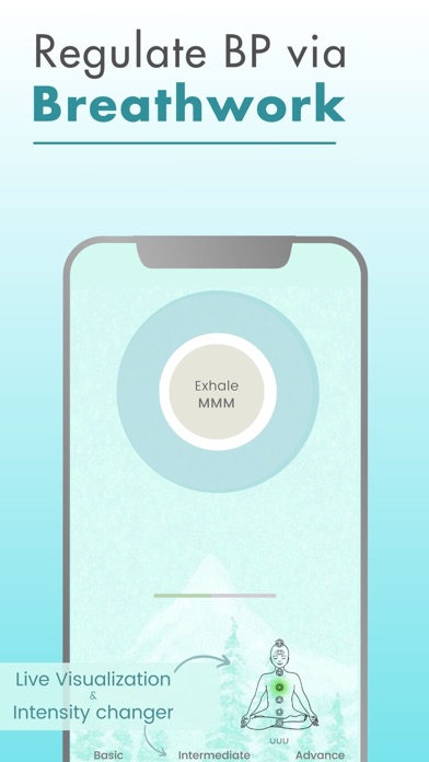 Blood Pressure Pulse Monitor screenshot 2