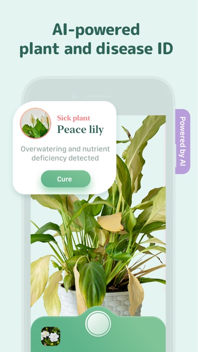 Blossom - Plant Care Guide screenshot 6