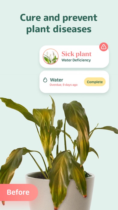Blossom - Plant Care Guide screenshot 10
