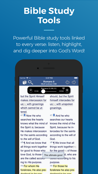 Blue Letter Bible screenshot 5