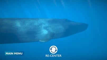 Blue Whale AR Encounter screenshot 2