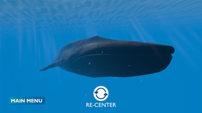 Blue Whale AR Encounter screenshot 1