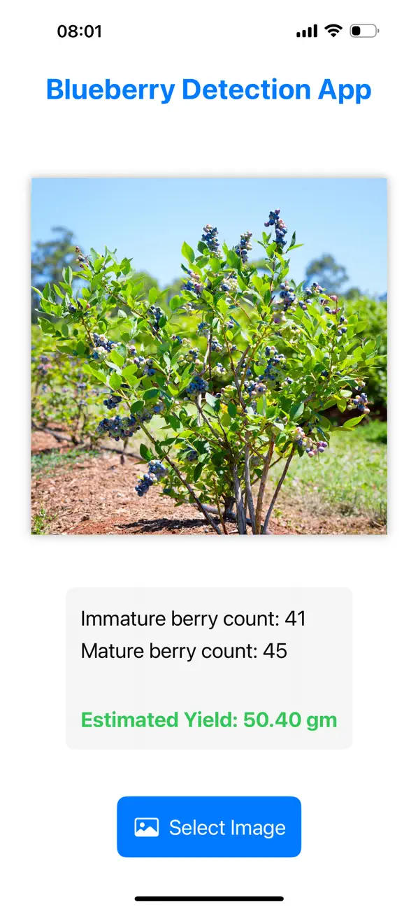 Blueberry Yield Analyzer screenshot 1