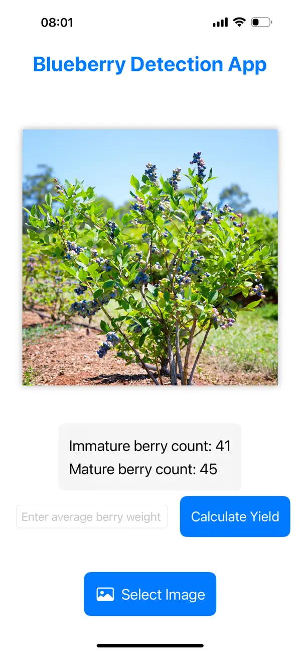 Blueberry Yield Analyzer screenshot 3