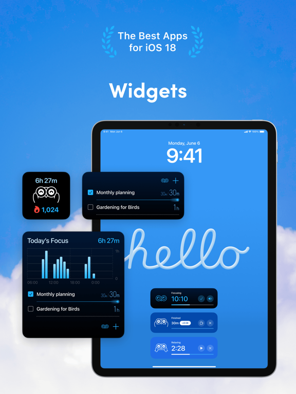 Bluebird Focus Timer screenshot 2