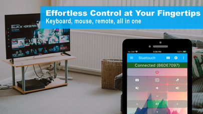 Bluetouch™ screenshot 1