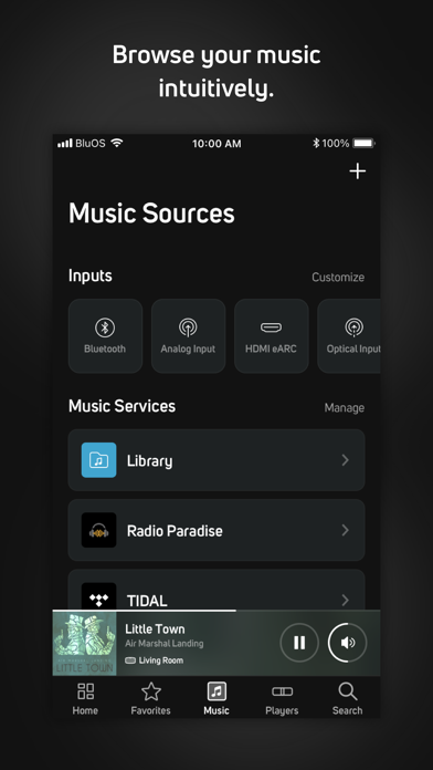BluOS Controller screenshot 1