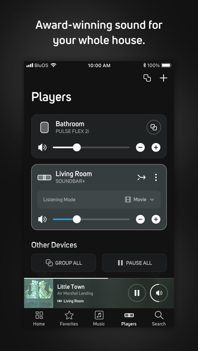 BluOS Controller screenshot 2