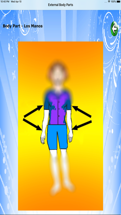 Body Parts - Basic screenshot 3