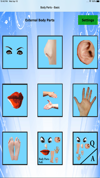 Body Parts - Basic screenshot 5