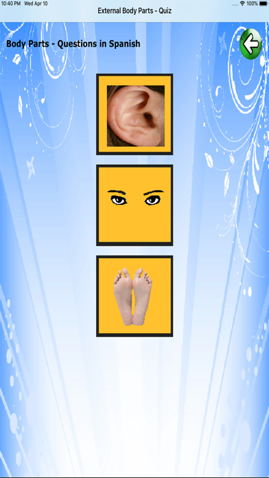Body Parts - Basic screenshot 1