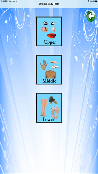 Body Parts - Basic screenshot 2
