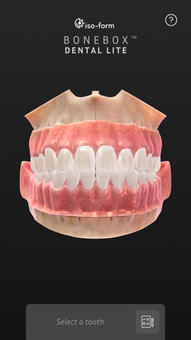 BoneBox™ - Dental Lite screenshot 3